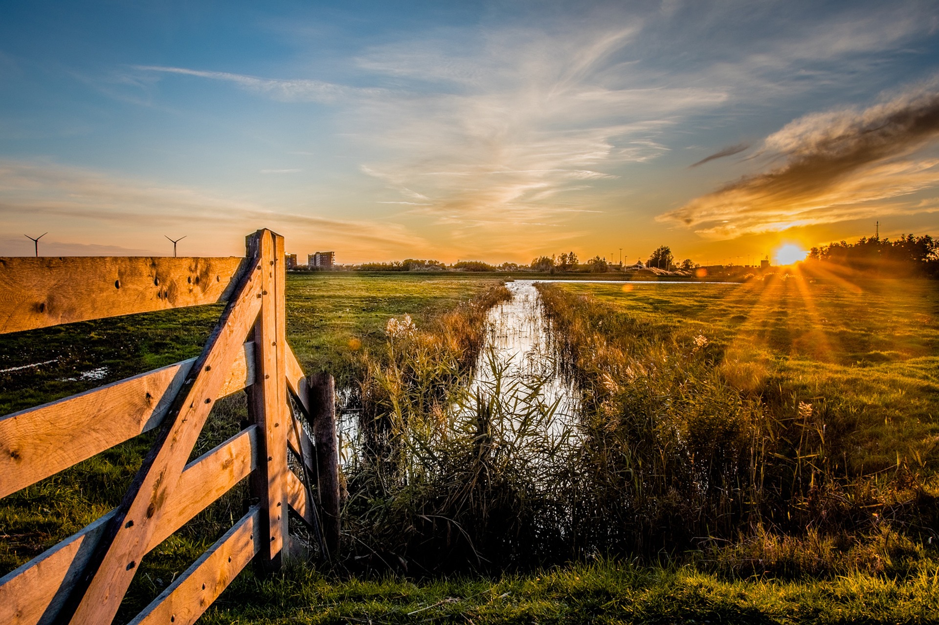 Nederlands landschap